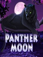 เปิดมุมมองใหม่กับซอฟต์แวร์การพนันฟุตบอลชื่อดัง